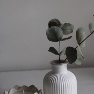 Tranquil Living Essential Set